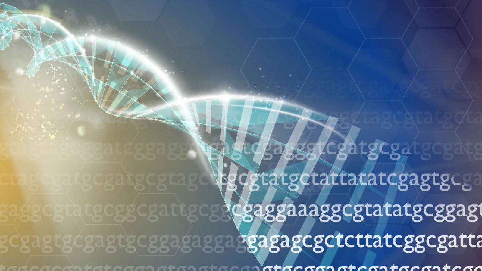 Tes Sidik Jari STIFIn tesstifin.id 081805180808