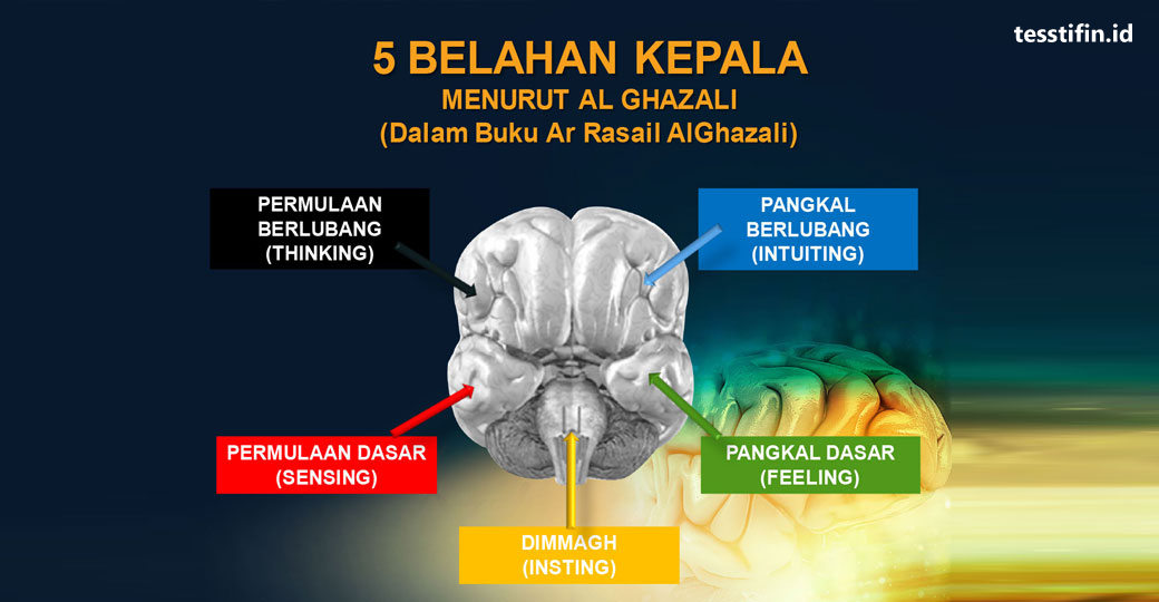 Konsep STIFIn | Otak Alghazali