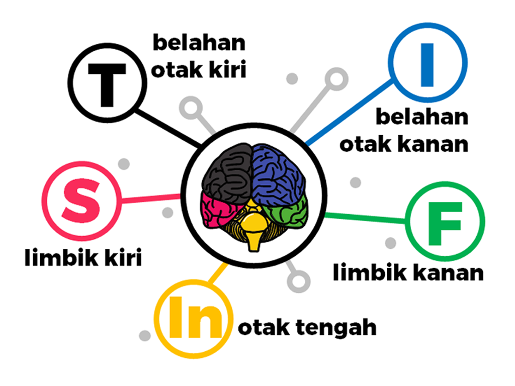 Apa-itu-stifin-tesstifin ID