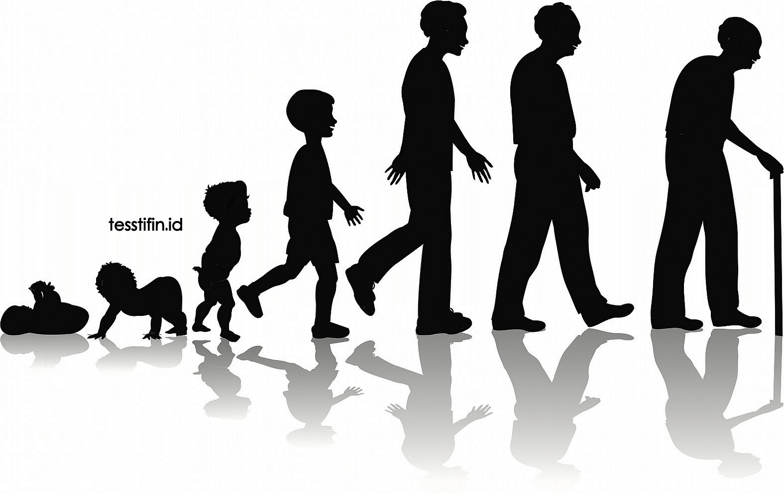 Tes Sidik Jari STIFIn tesstifin.id 081805180808