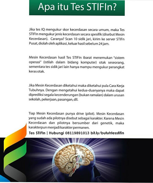 P21 Apa itu Tes STIFIn - Apa itu Tes STIFIn ?