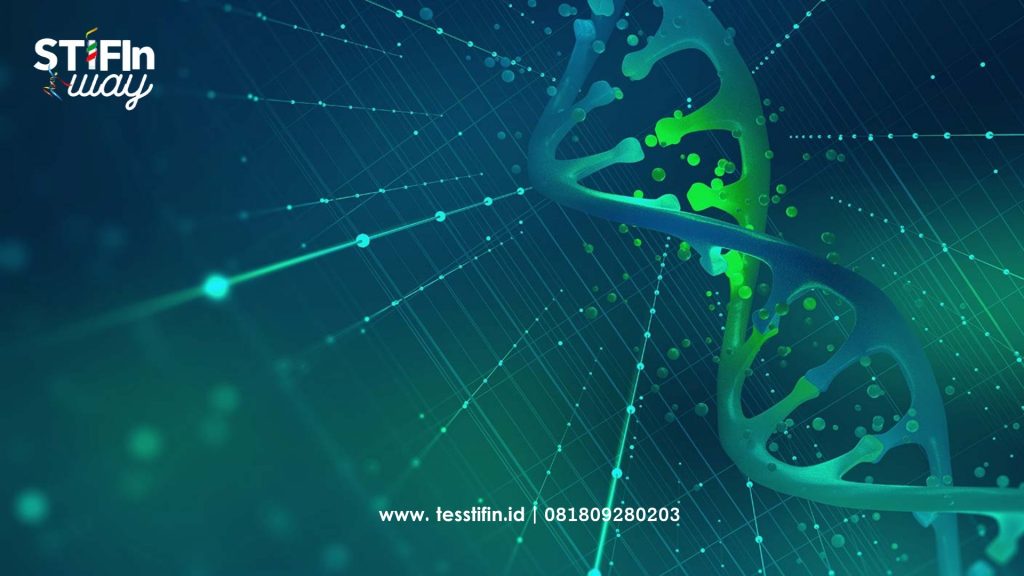 P43 STIFIn Test 081809280203 1 1024x576 - Sejarah Ilmu Sidik Jari Daktilopski