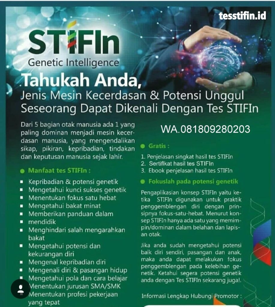 02 Why Tes STIFIn 917x1024 - STIFIn Cilengkrang Bandung