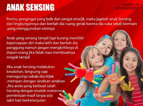 Anak Sensing tes STIFIn - Sensing Ekstrovert (Se) Menggapai Masa Depan