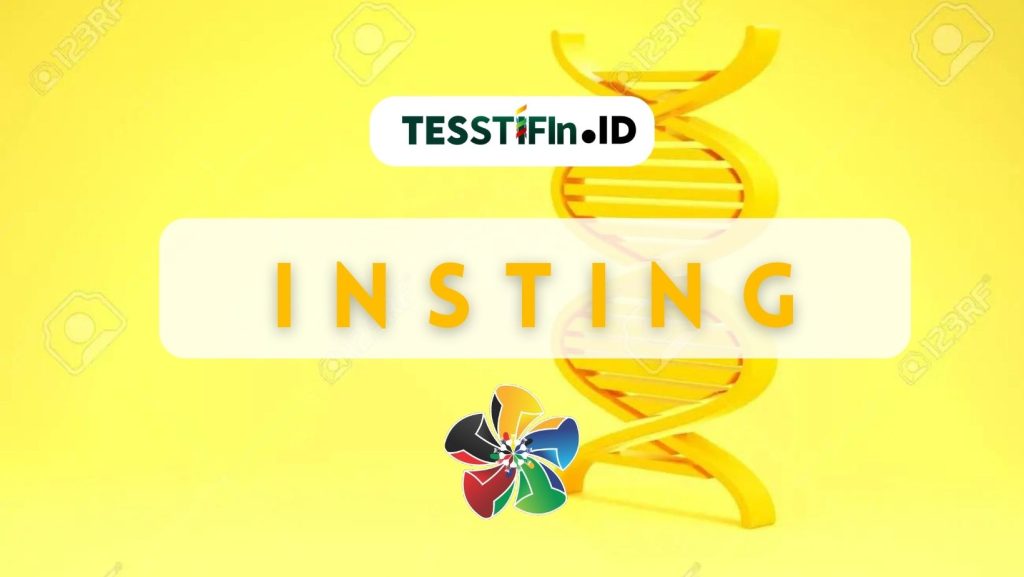 STIFIn INSTING 1024x577 - Memilih Jurusan SMA & Kuliah : INSTING