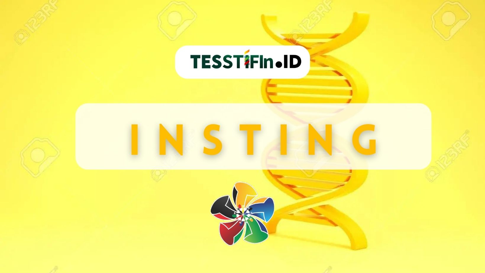 STIFIn INSTING