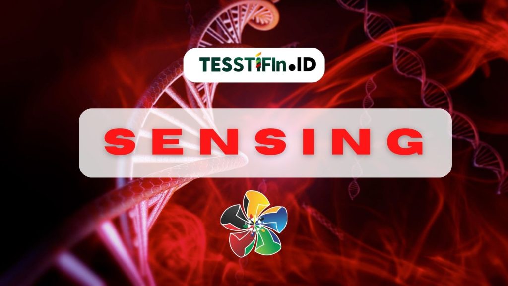 STIFIn SENSING 1024x577 - Memilih Jurusan SMA & Kuliah : SENSING