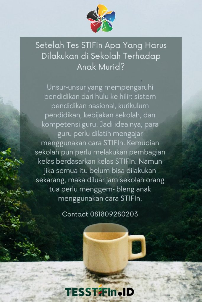 Setelah Tes STIFIn di Sekolah 683x1024 - Setelah Tes STIFIn Apa Yang Harus Dilakukan di Sekolah Terhadap Anak Murid?
