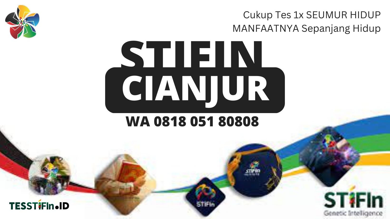 STIFIn Cianjur 081805180808 Jawa Barat tesstifin.id