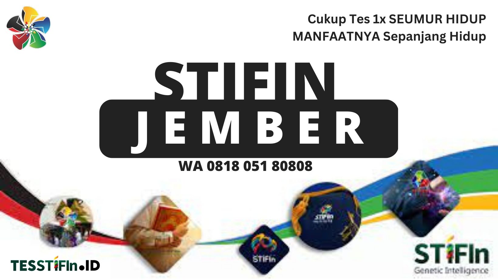 STIFIn Jember Jawa Timur 081805180808 tesstifin.id