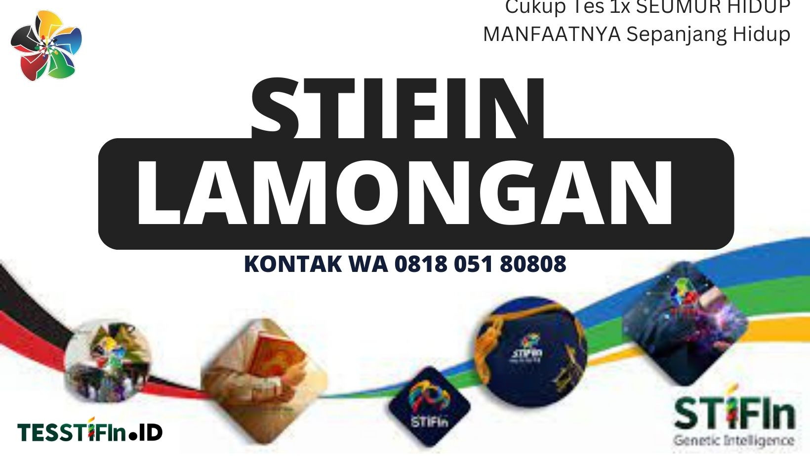 STIFIn Lamongan Jawa Timur 081805180808 tesstifin.id