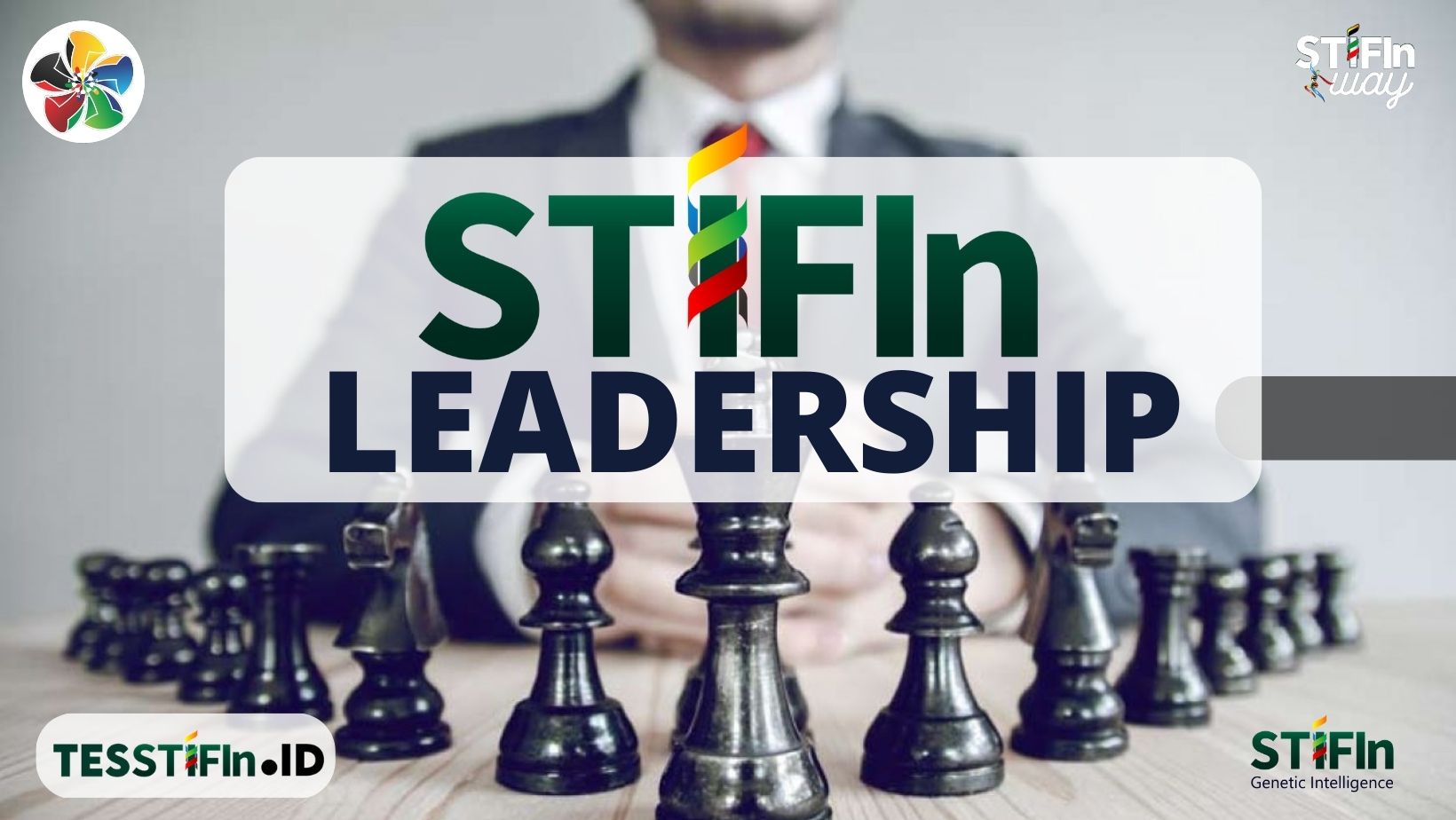 STIFIn Leadership 081805180808 tesstifin.id