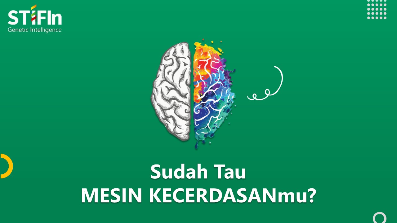STIFIn Mesin Kecerdasan - WA 081805180808