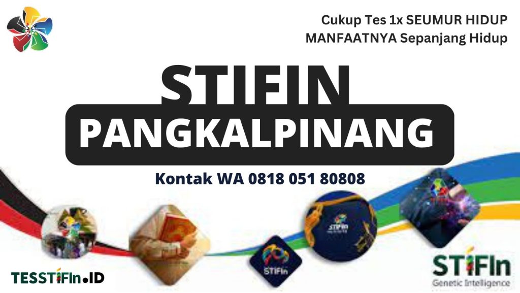 STIFIn Pangkalpinang 081805180808 tesstifin.id  1024x577 - STIFIn Pangkal Balam Pangkalpinang