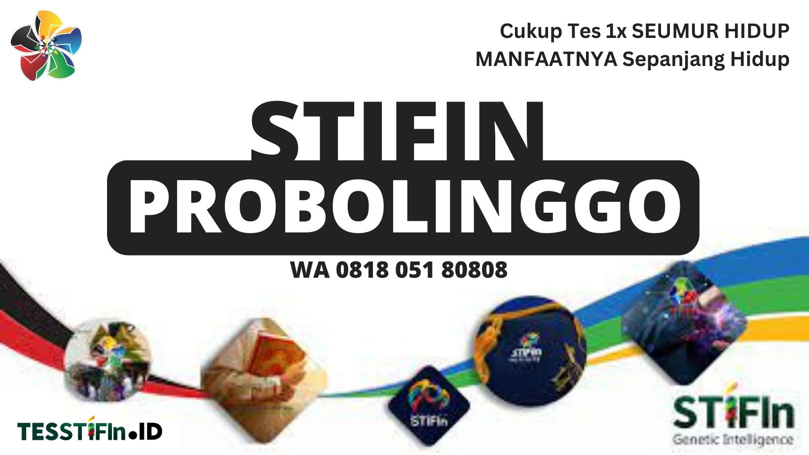 STIFIn Probolinggo Jawa Timur 081805180808 tesstifin.id