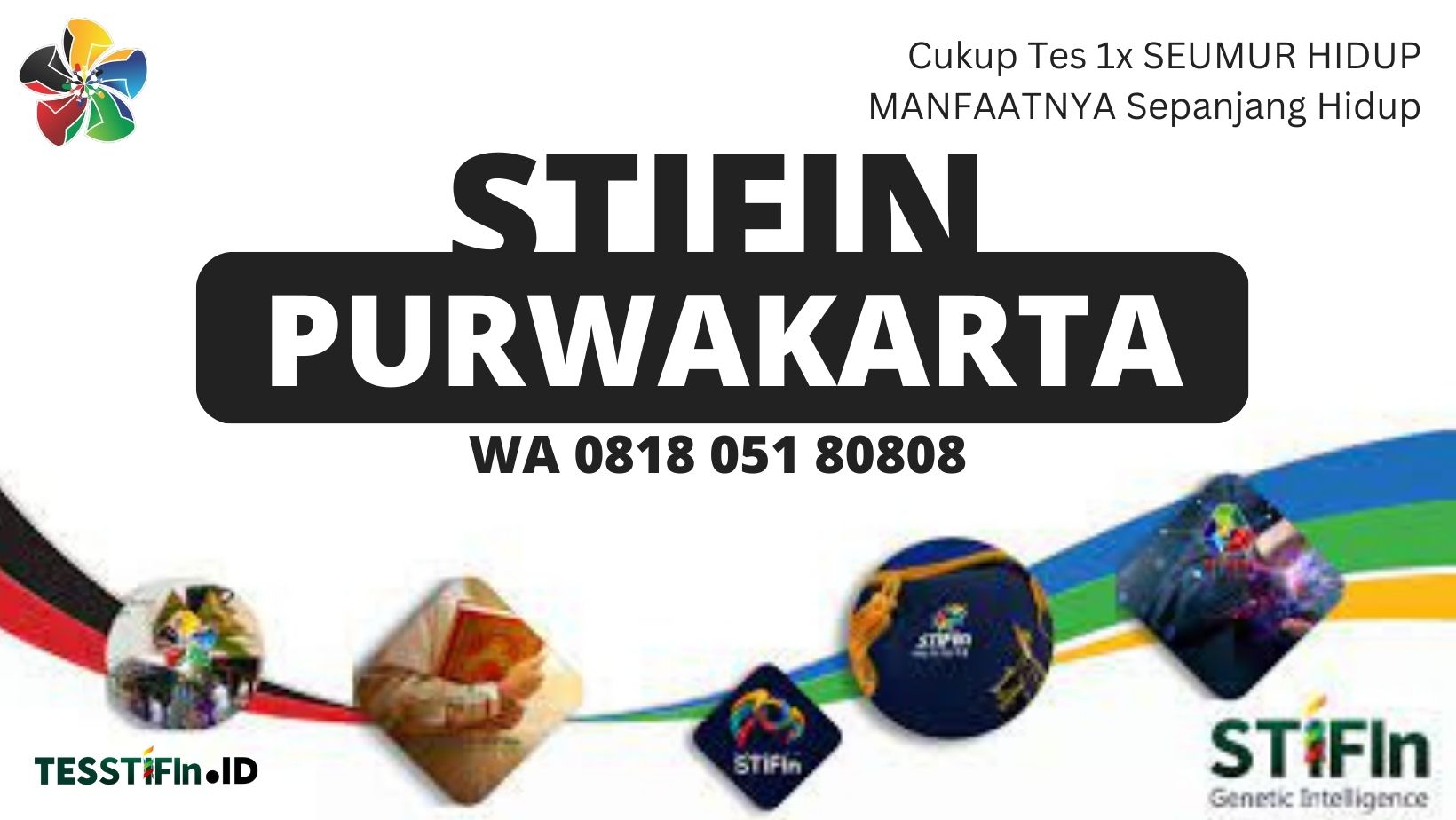 STIFIn Purwakarta Jabar 081805180808 Jawa Barat tesstifin.id