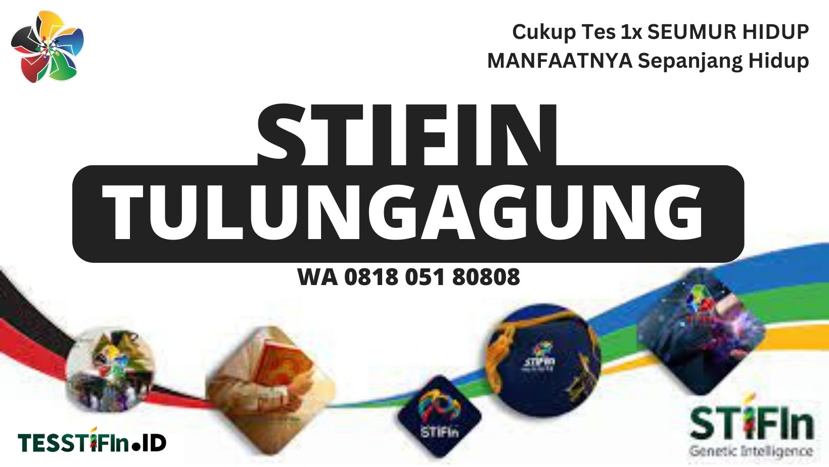 STIFIn Tulungagung Jawa Timur 081805180808 tesstifin.id