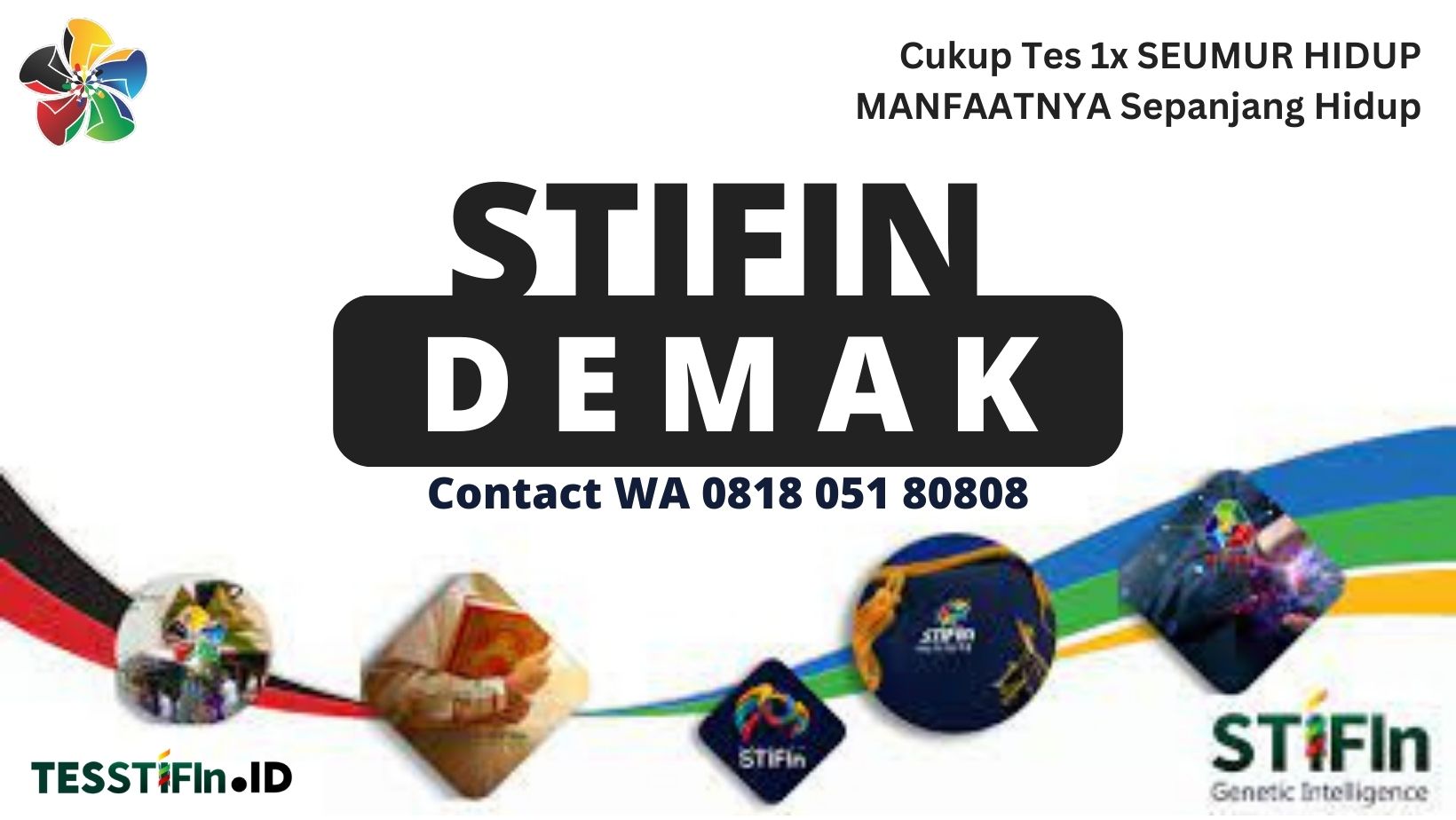 STIFIn Demak 081805180808 Jawa Tengah tesstifin.id