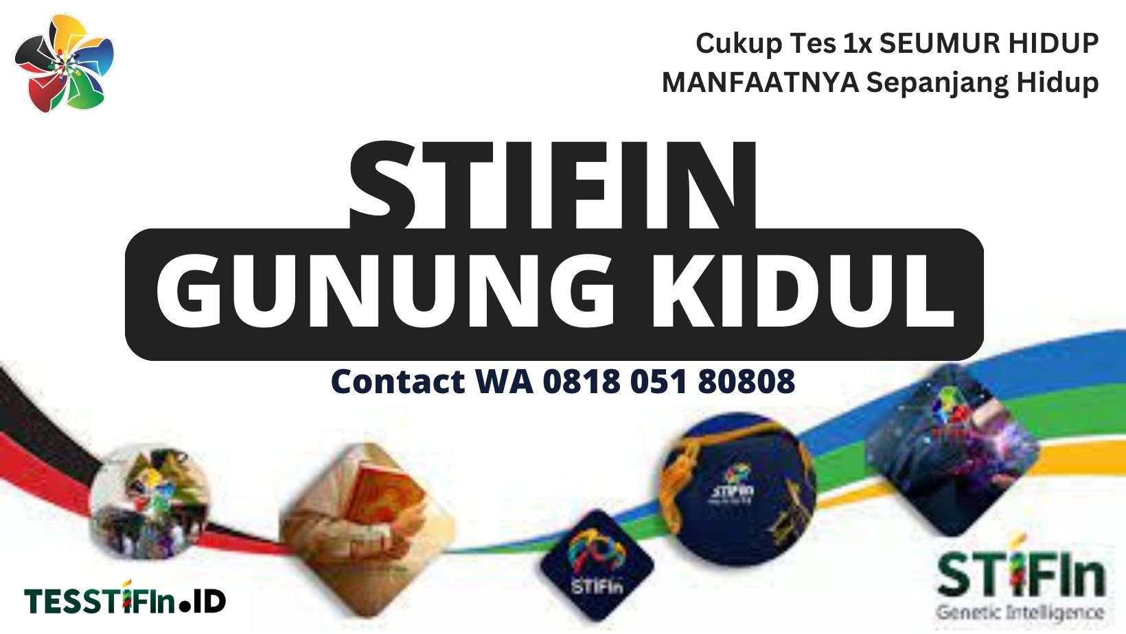 STIFIn Gunung Kidul 081805180808 Yogyakarta tesstifin.id
