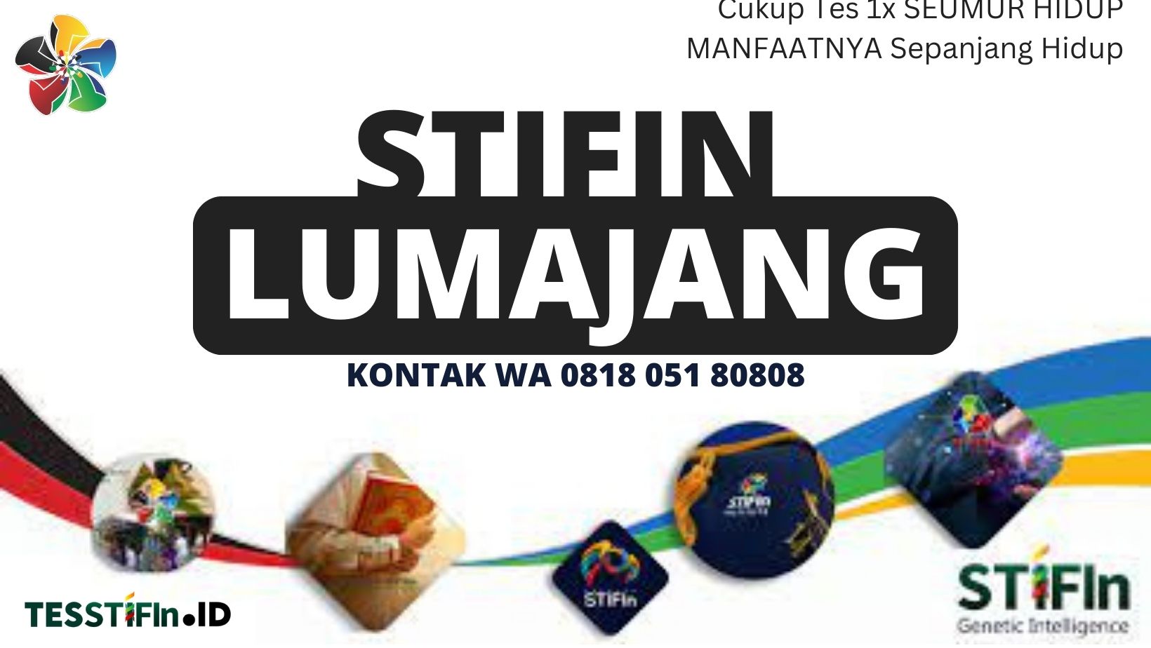 STIFIn Lumajang 081805180808 Jawa timur tesstifin.id