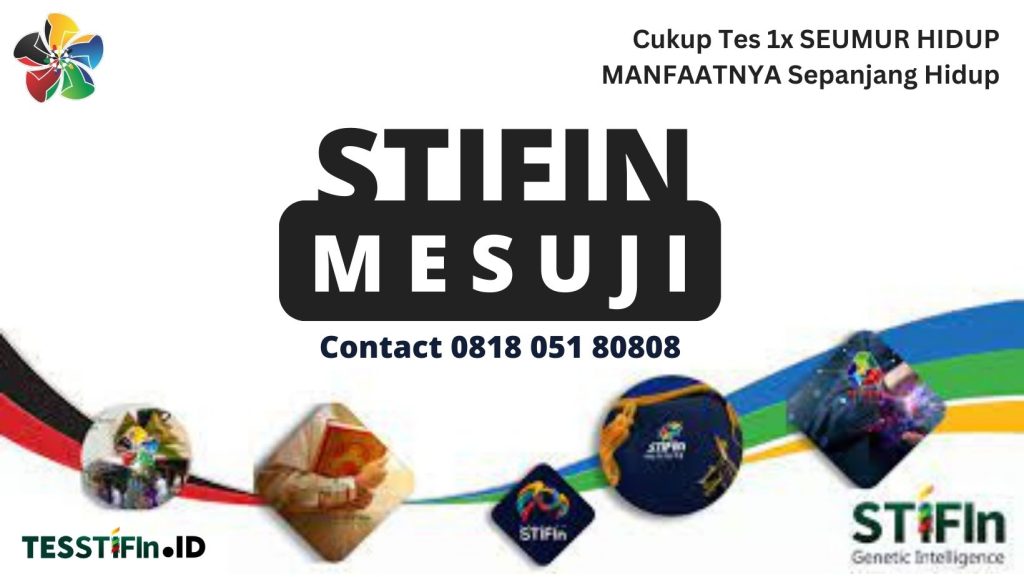 STIFIn Mesuji Lampung 081805180808 tesstifin.id  1024x577 - STIFIn Pringsewu Lampung