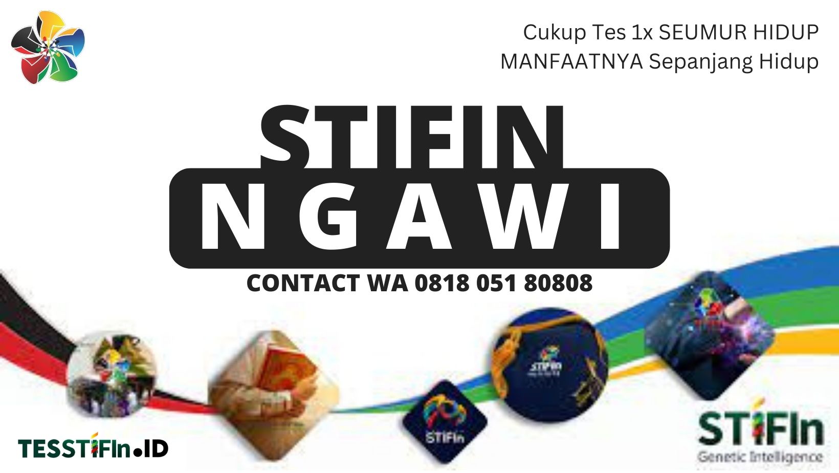 STIFIn Ngawi 081805180808 Jawa Timur tesstifin.id