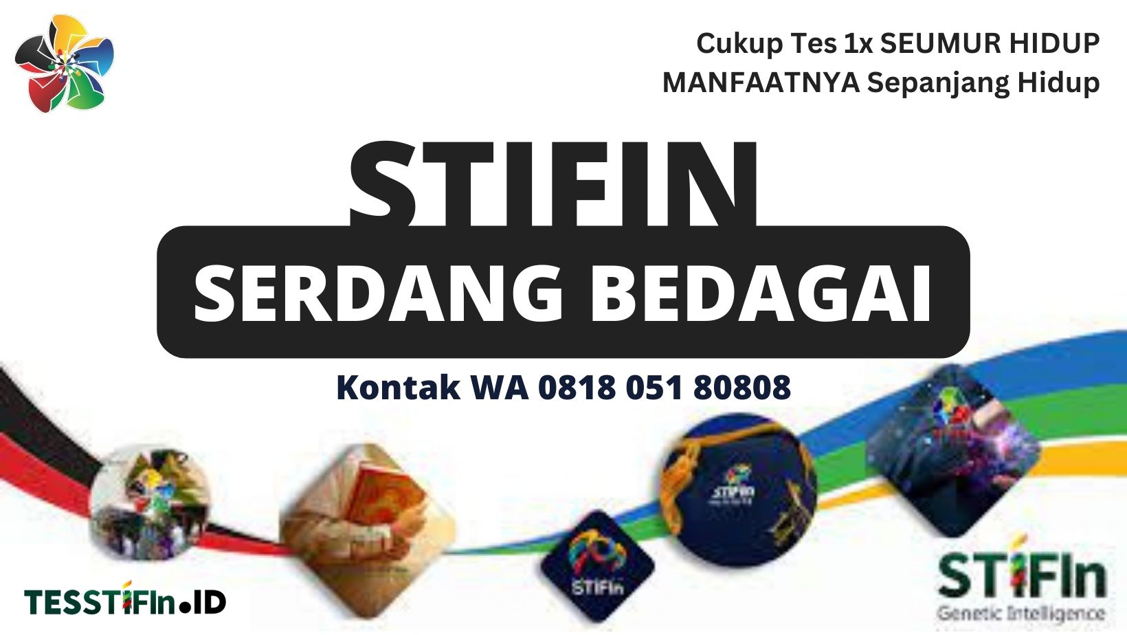 STIFIn Serdang Bedagai 081805180808 Sumut tesstifin.id
