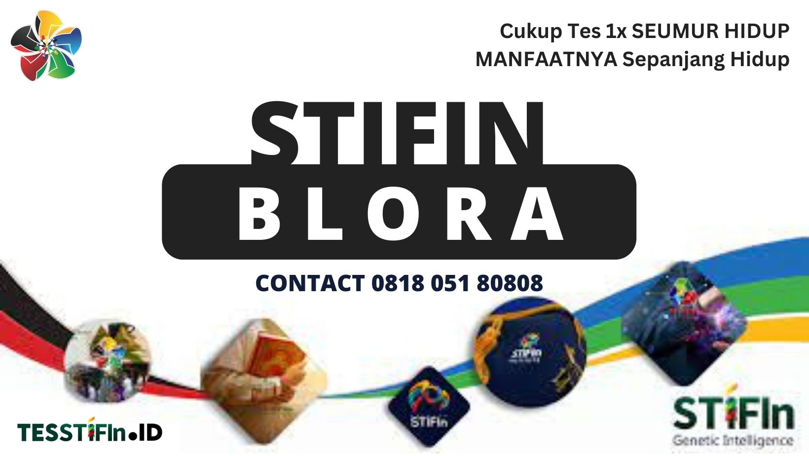 STIFIn Blora 081805180808 Jawa Tengah tesstifin.id