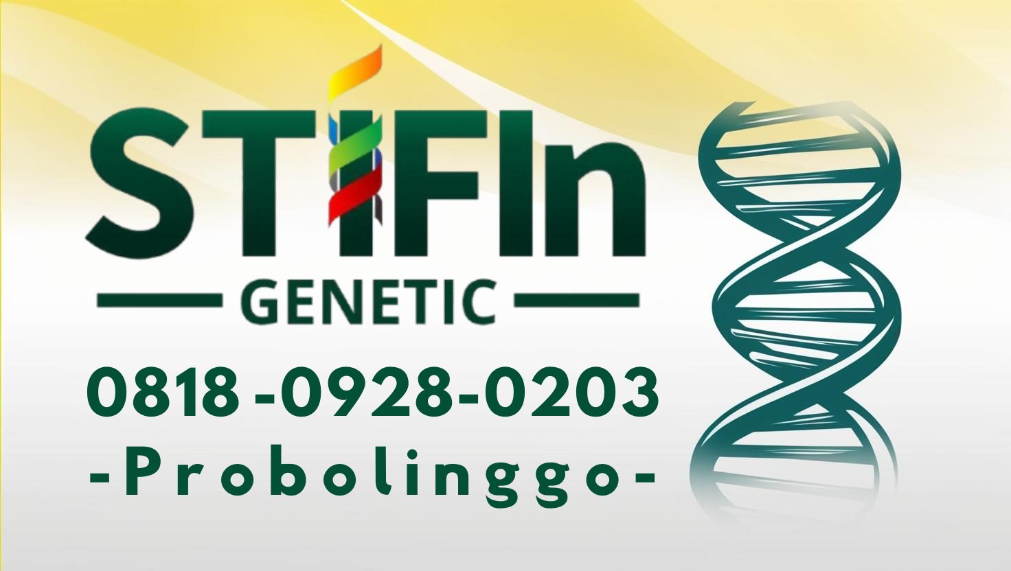 STIFIn Tes Genetic Sidik Jari Minat Bakat Family Brain Probolinggo 0818 -0928-0203 --