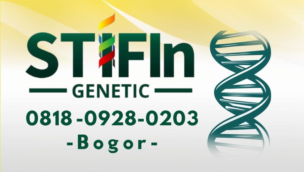 STIFIn Tes Genetic Sidik Jari Minat Bakat Family Brain Bogor 0818 0928 0203  1024x579 - STIFIn Parung Panjang Bogor