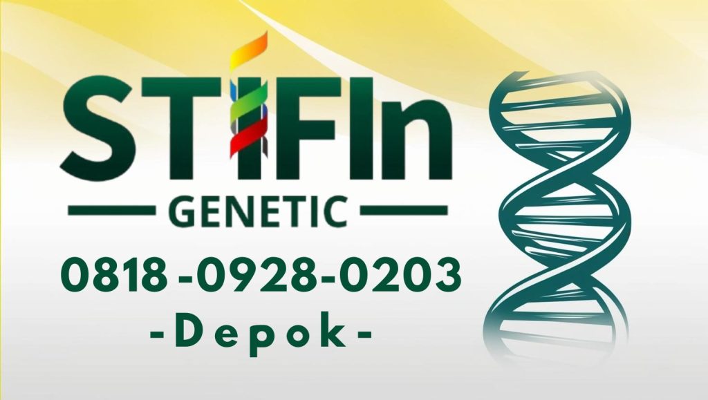 STIFIn Tes Genetic Sidik Jari Minat Bakat Family Brain Depok 0818 0928 0203  1024x579 - STIFIn Depok