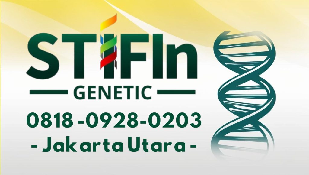 STIFIn Tes Genetic Sidik Jari Minat Bakat Family Brain Jakarta Utara 0818 0928 0203  1024x579 - STIFIn Jakarta Utara Jakut