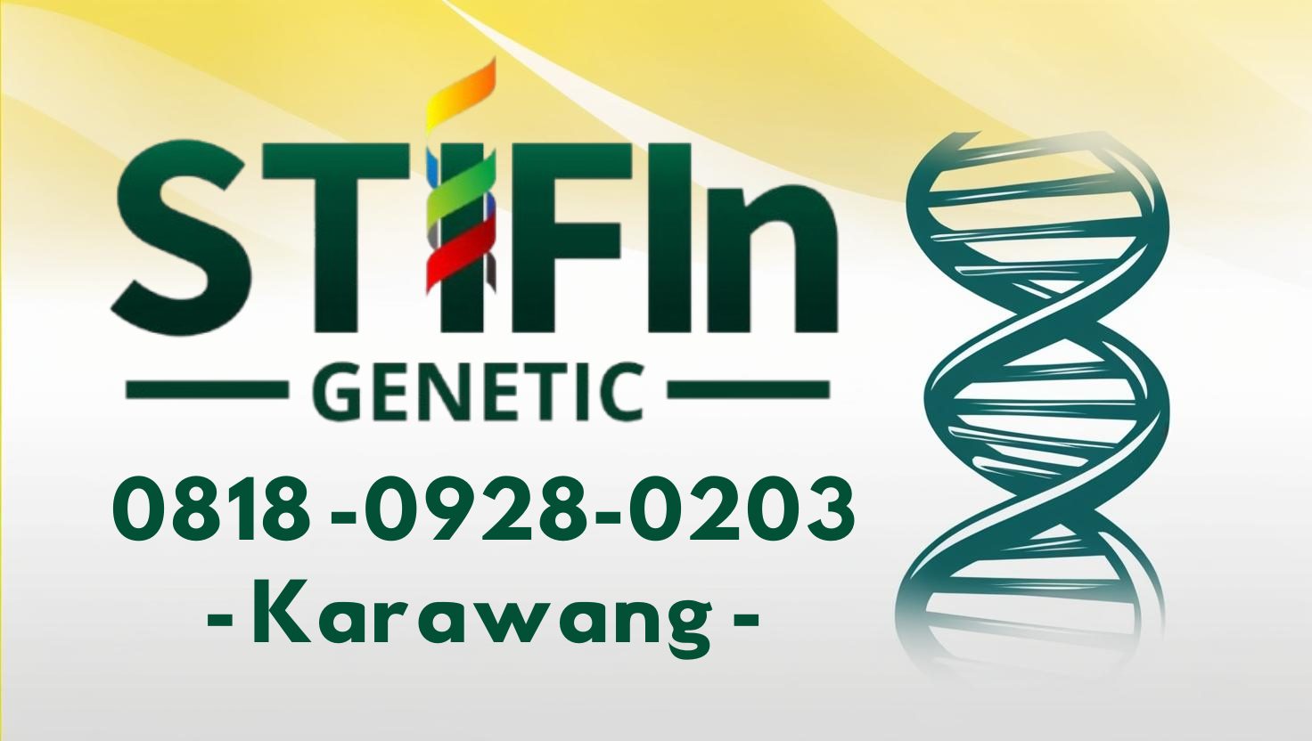 STIFIn Tes Genetic Sidik Jari Minat Bakat Family Brain Karawang 0818 -0928-0203 --