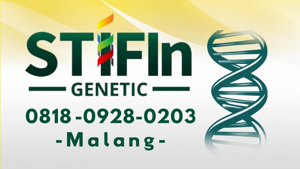 STIFIn Tes Genetic Sidik Jari Minat Bakat Family Brain Malang 0818 0928 0203  1024x579 - STIFIn Lawang Malang