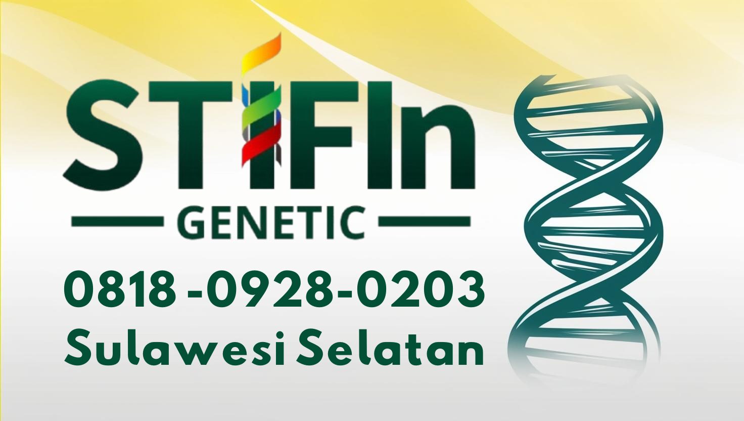 STIFIn Tes Genetic Sidik Jari Minat Bakat Family Brain Sulawesi Selatan 0818 -0928-0203 --