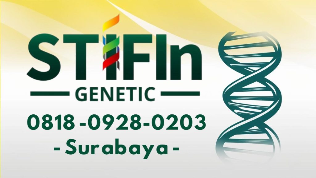 STIFIn Tes Genetic Sidik Jari Minat Bakat Family Brain Surabaya 0818 0928 0203  1024x579 - STIFIn Jambangan Surabaya