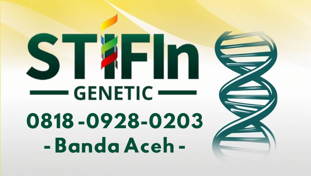 Salinan dari STIFIn Tes Genetic Sidik Jari Minat Bakat Family Brain Banda Aceh 0818 0928 0203  1024x579 - STIFIn Syiah Kuala Banda Aceh