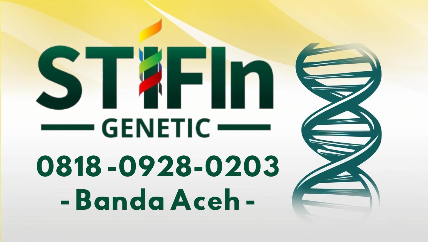 STIFIn Tes Genetic Sidik Jari Minat Bakat Family Brain Banda Aceh 0818 -0928-0203 --