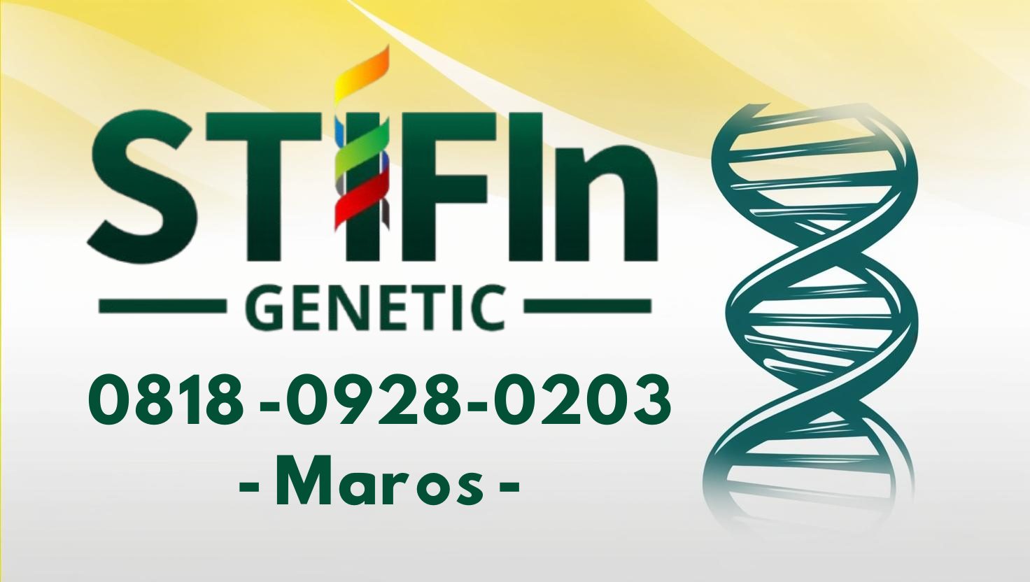 STIFIn Tes Genetic Sidik Jari Minat Bakat Family Brain Maros 0818 -0928-0203 --