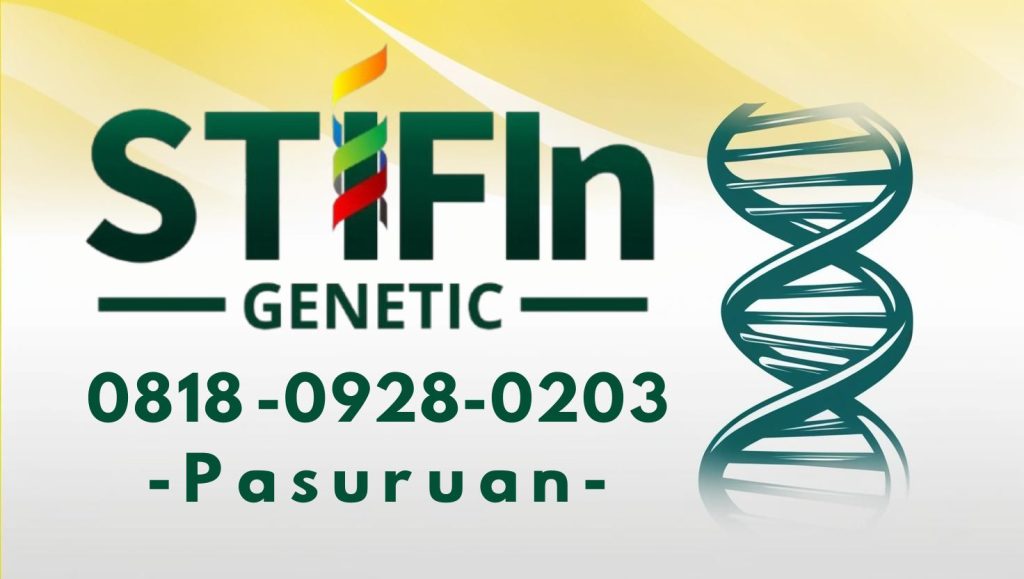 STIFIn Tes Genetic Sidik Jari Minat Bakat Family Brain Pasuruan 0818 0928 0203 1 1024x579 - STIFIn Purwosari Pasuruan