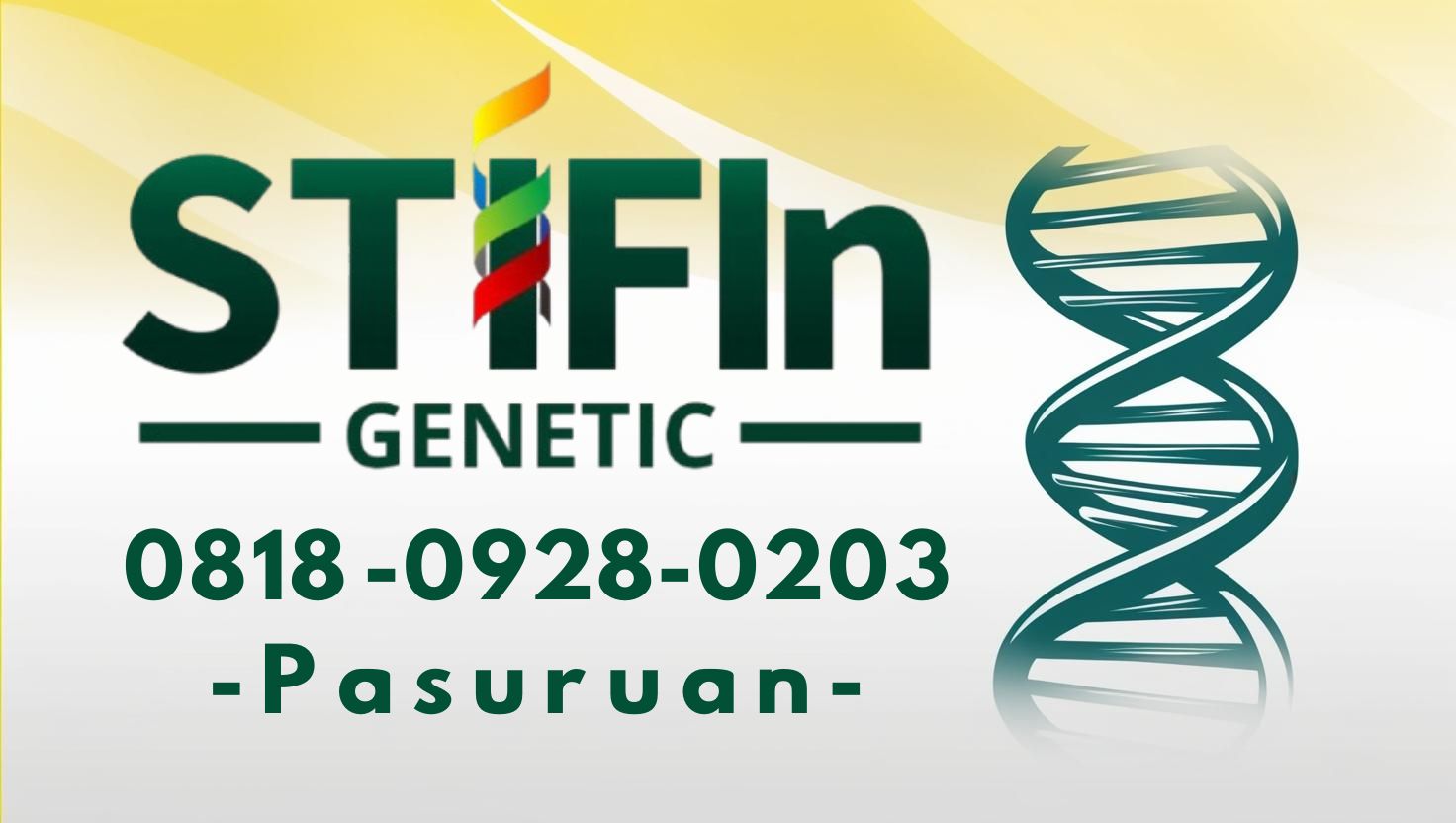 STIFIn Tes Genetic Sidik Jari Minat Bakat Family Brain Pasuruan 0818 -0928-0203 -- (1)