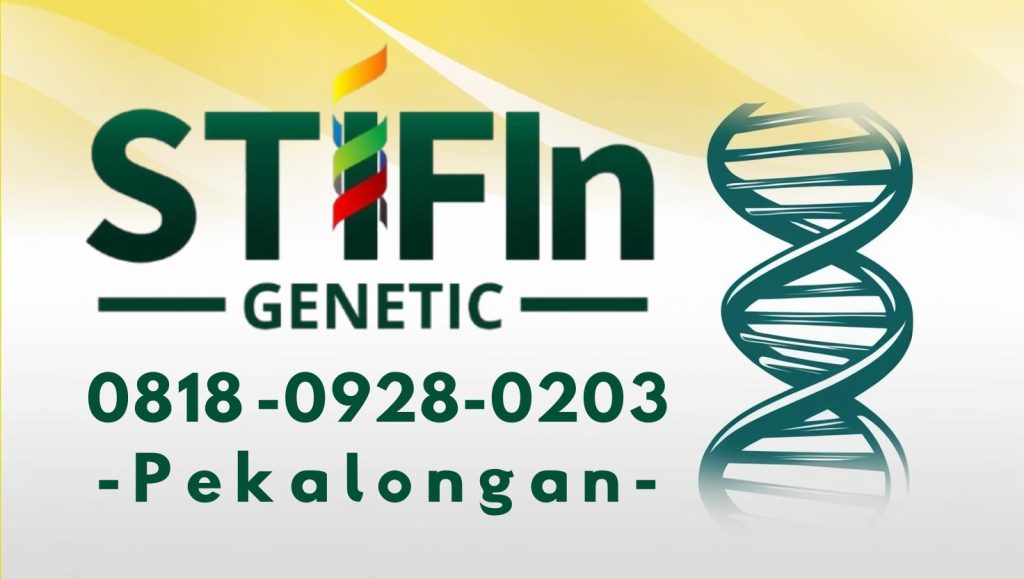 STIFIn Tes Genetic Sidik Jari Minat Bakat Family Brain Pekalongan 0818 0928 0203  1024x579 - STIFIn Pekalongan Barat