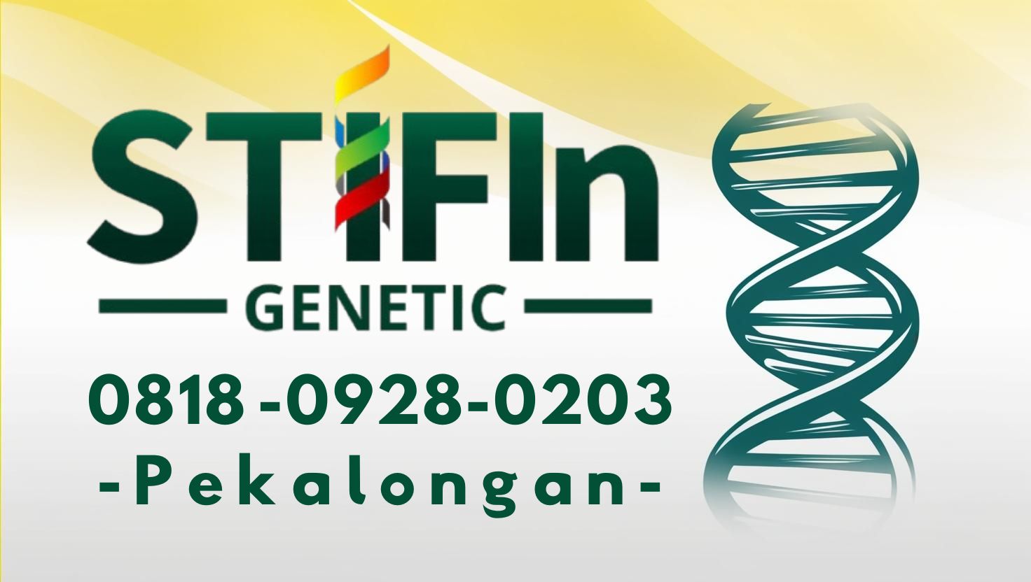 STIFIn Tes Genetic Sidik Jari Minat Bakat Family Brain Pekalongan 0818 -0928-0203 --