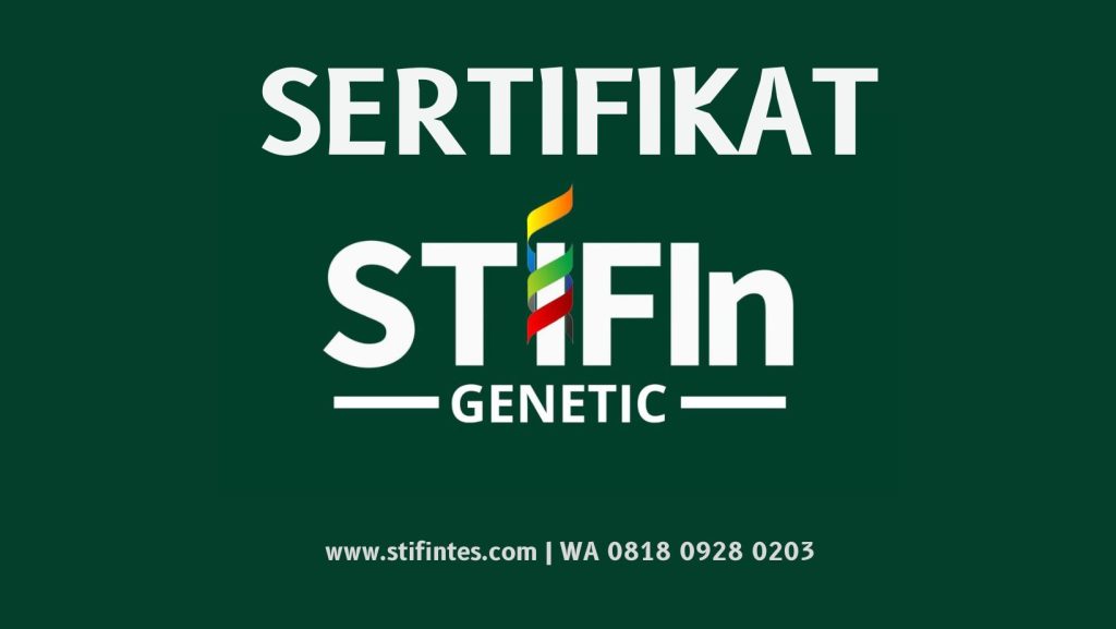 Sertifikat STIFIn Genetic 081809280203 stifintes.com  1024x577 - Sertifikat STIFIn Lengkap